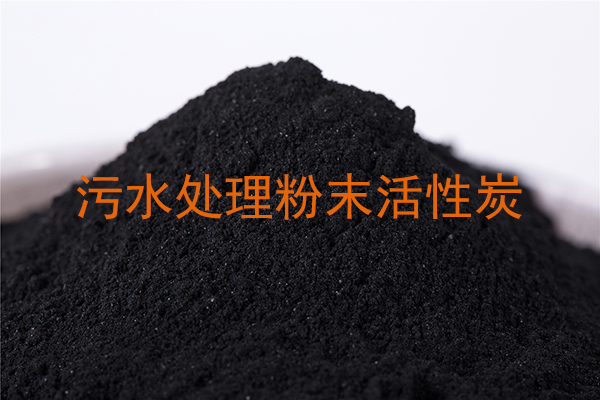 廣東某藥廠污水深度處理用煤質(zhì)粉末活性炭項目